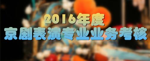 尻女人的鸡鸡国家京剧院2016年度京剧表演专业业务考...